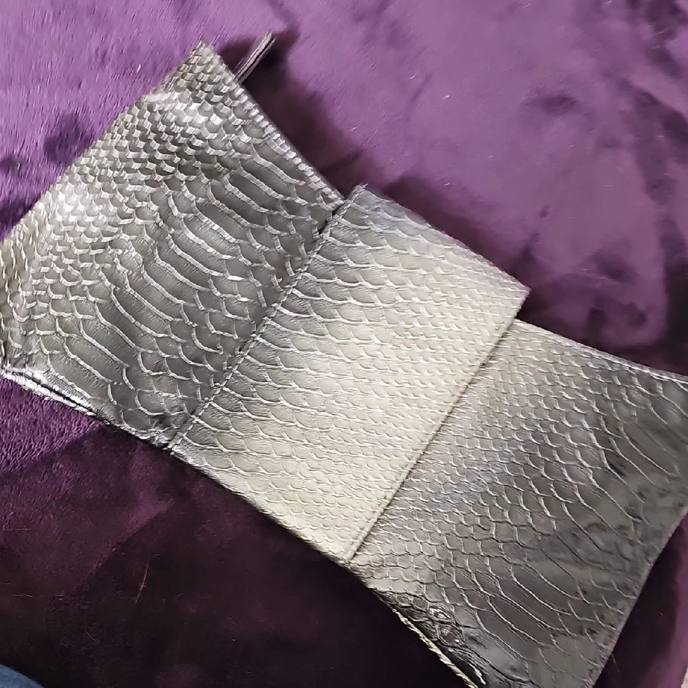 Express 2010's Like NEW - Metallic Snakeskin Clutch with Magnetic Closure - Picture 5 of 7